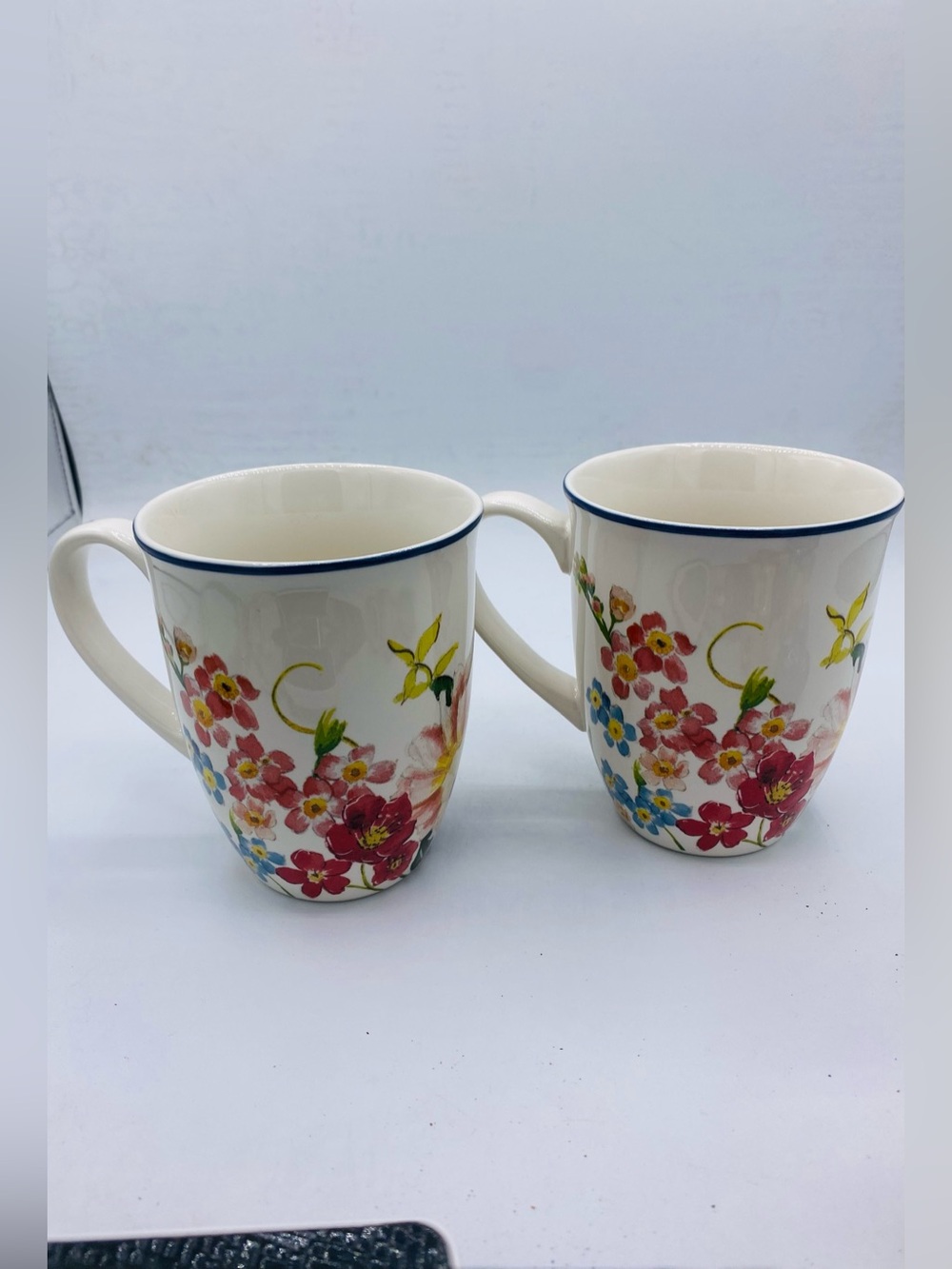 Pottery Barn China Floral Rim Collection Set of 2 Discontinued